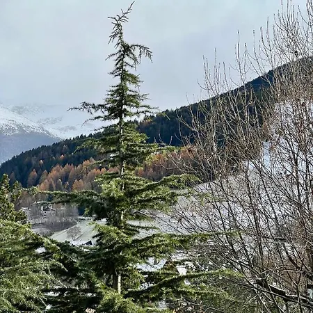 Il Pettirosso - Apartmán *