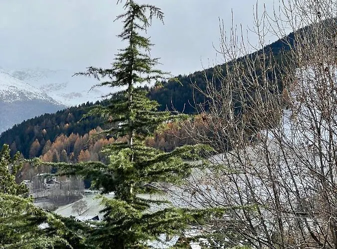 Il Pettirosso - アパート *